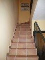 /album/fotogaleria-fotogaleria/escalera-jpg/