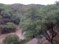 /album/fotogaleria-fotogaleria/desdeentrada-jpg1/